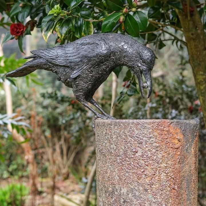 Aesop's Crow and Pitcher