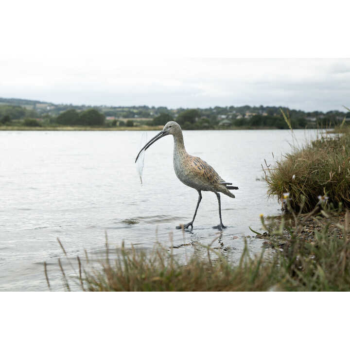 The Curlew and Quill garden sculpture