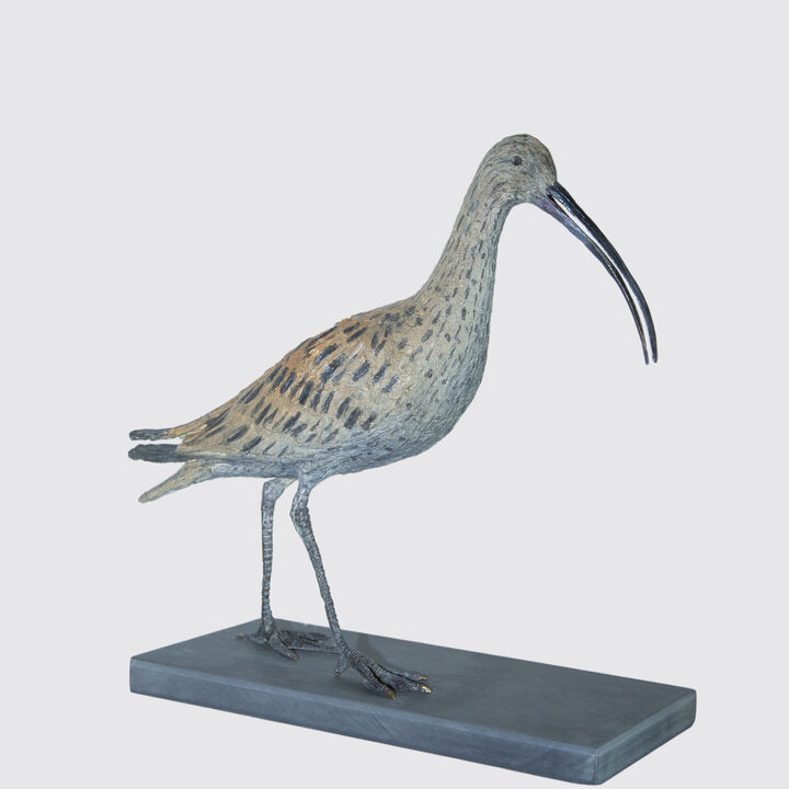 Curlew Studio 1.jpg