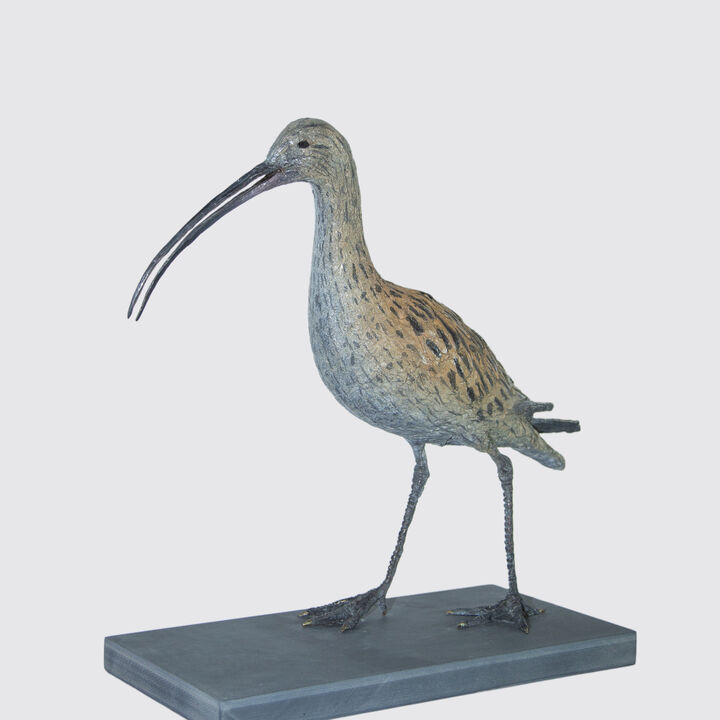 Curlew Studio 2.jpg