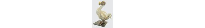 rjw-product-image-dodo-mother-1.jpg