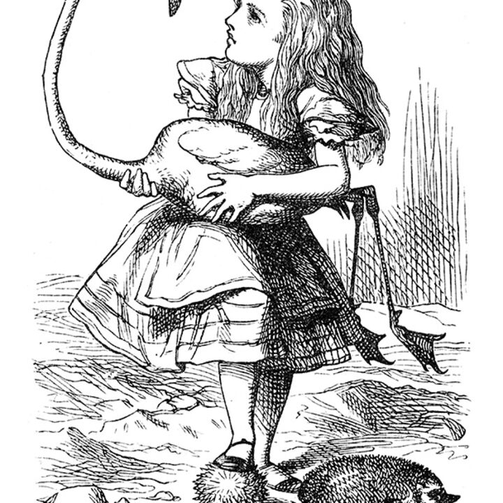 rjw-product-illustration-alice-flamingo.jpg