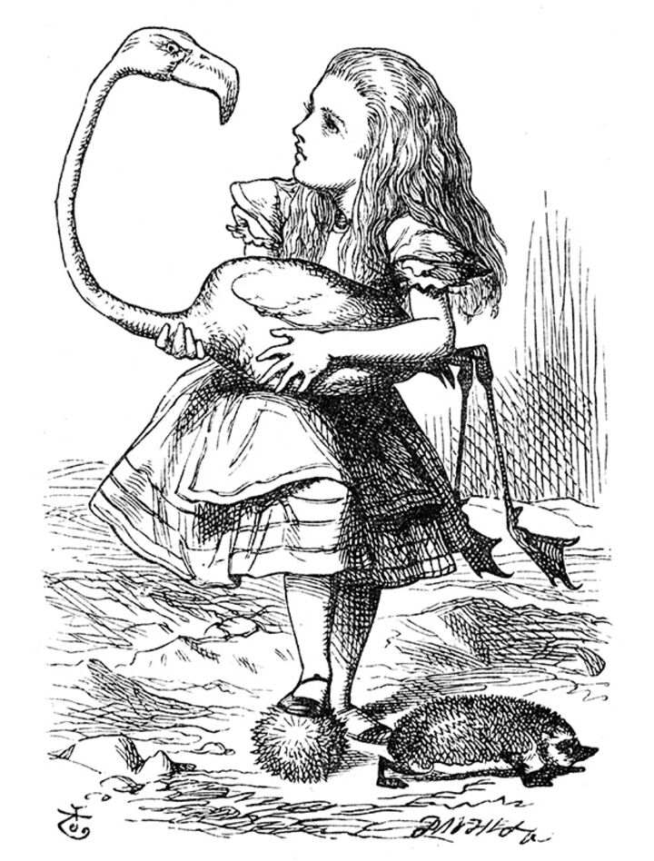 rjw-product-illustration-alice-flamingo.jpg