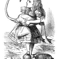 rjw-product-illustration-alice-flamingo.jpg