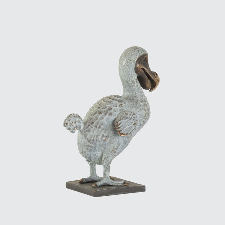 Dodo Back copy.jpg