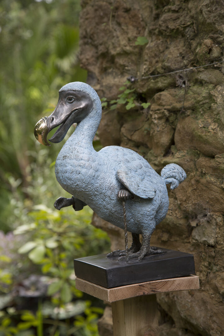 Dodo Esq.jpg