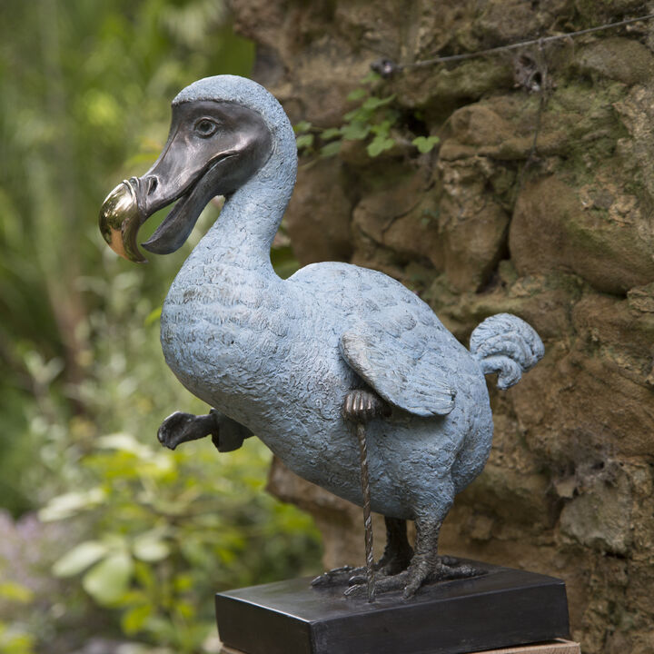 Dodo Esq.jpg