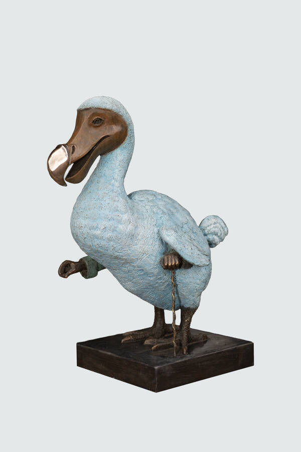 Dodo Esquire studio.jpg
