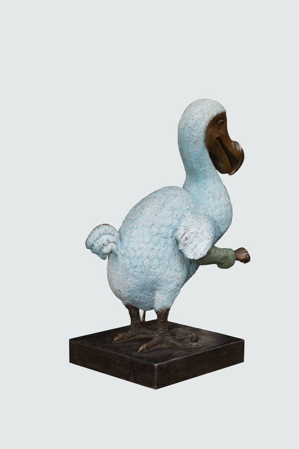 Dodo Esquire studio3.jpg