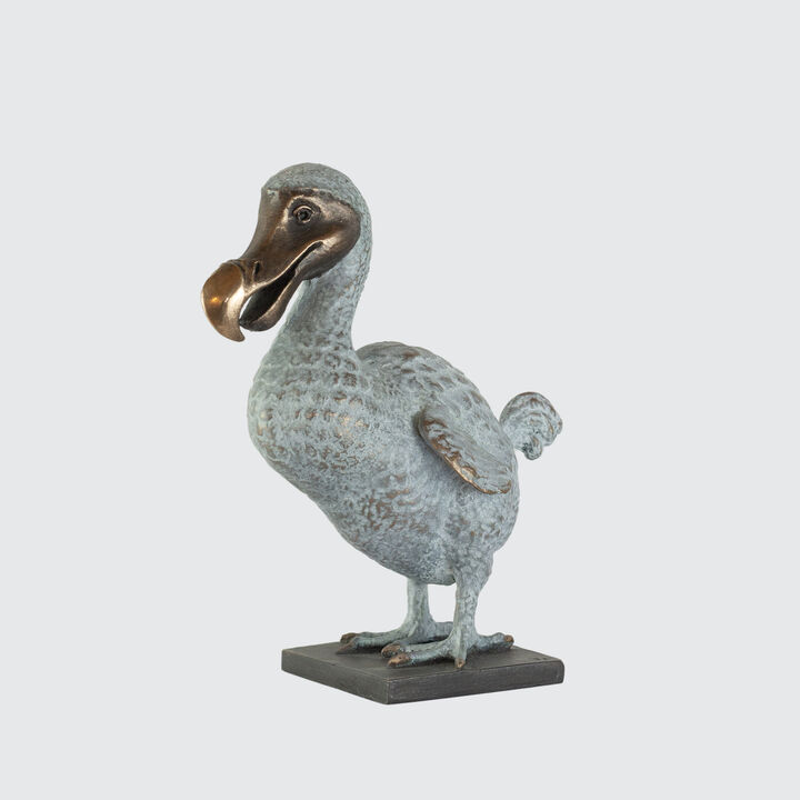 Dodo Front copy.jpg