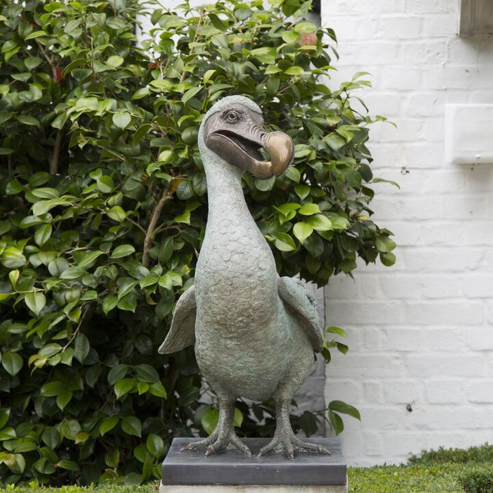 Dodo Mother portrait.jpg