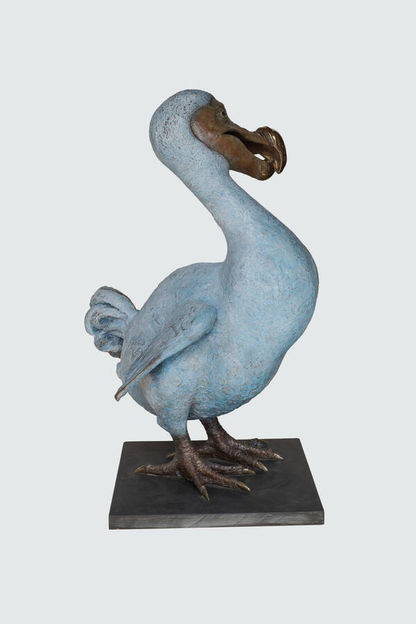 Dodo Mother studio3.jpg