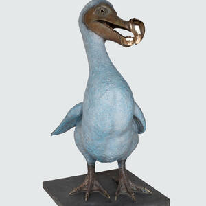Dodo Mother studio4.jpg