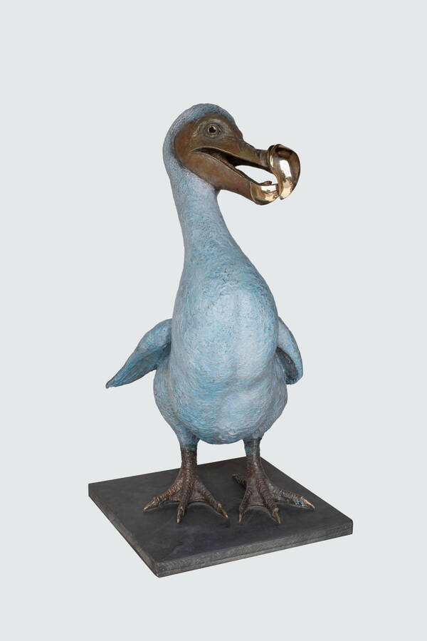 Dodo Mother studio4.jpg