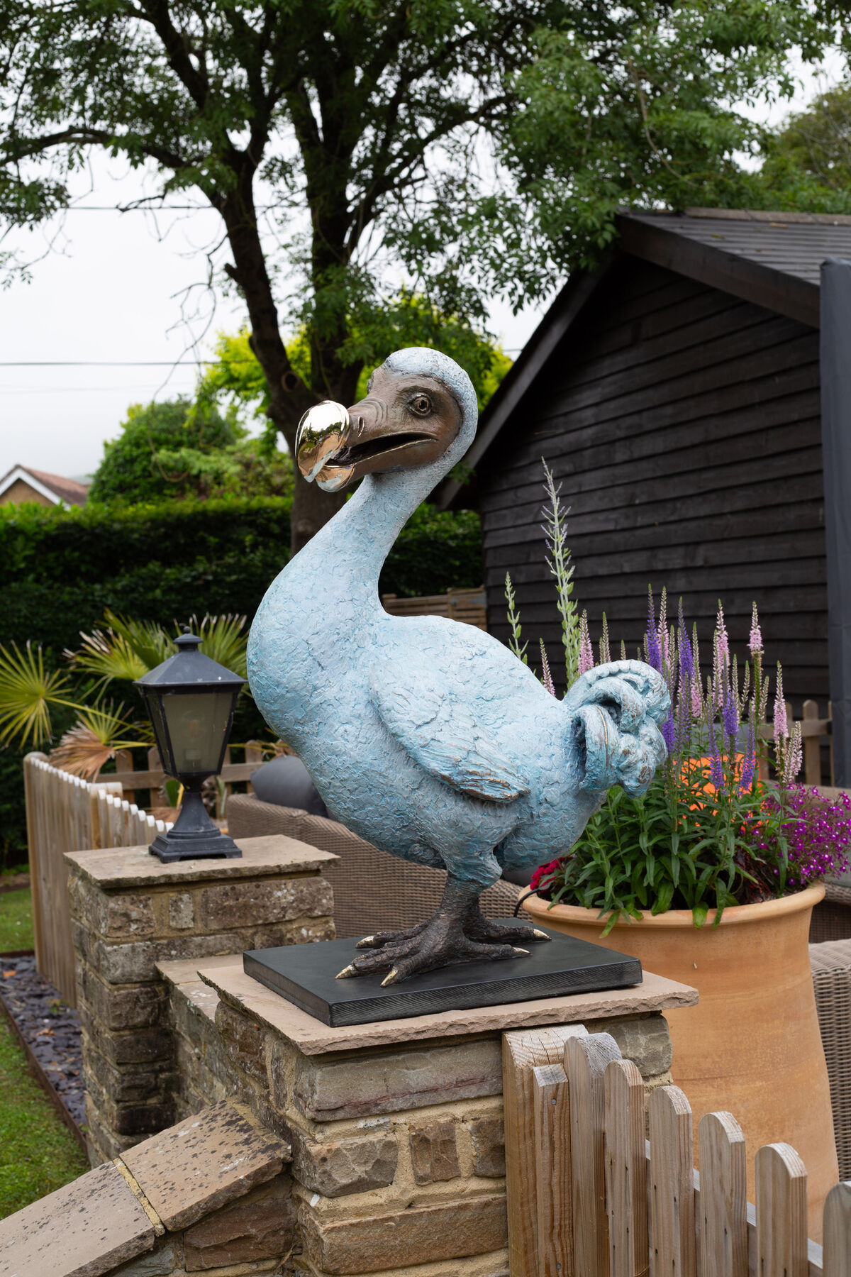 Dodo Mother.jpg