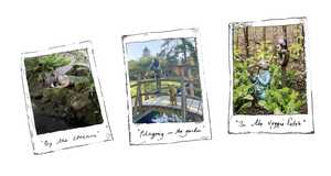 Handrawn illustrations with photos inset - Sleeping Gryphon, Poohsticks Bridge, Peter Rabbit eating Radishes