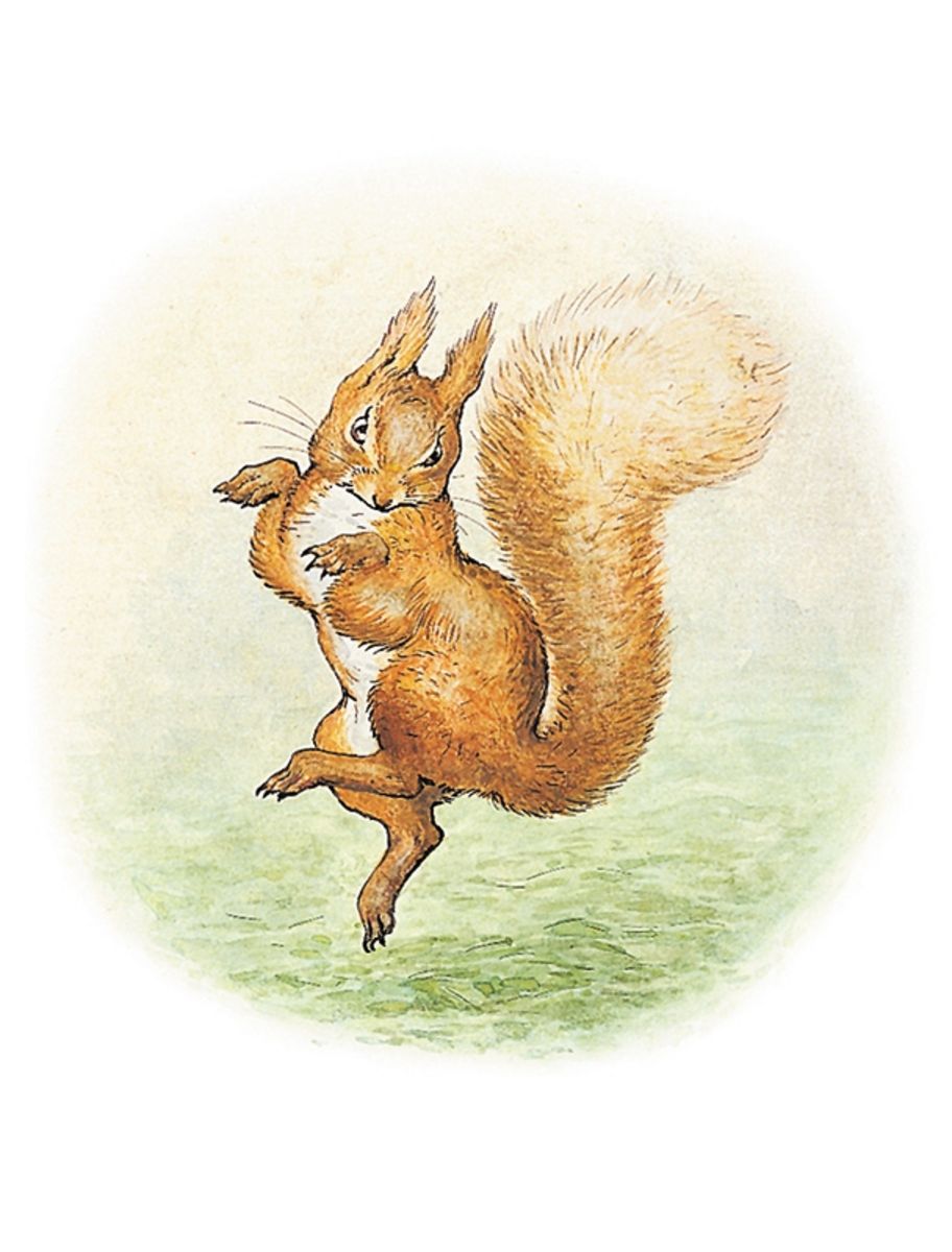 rjw-product-illustration-squirrel-nutkin.jpg