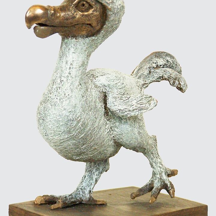 rjw-product-image-dodo-chick-2.jpg