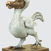 rjw-product-image-dodo-chick-2.jpg