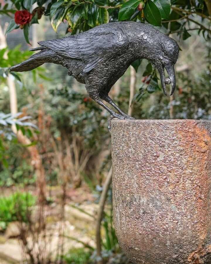 Aesop's Crow
