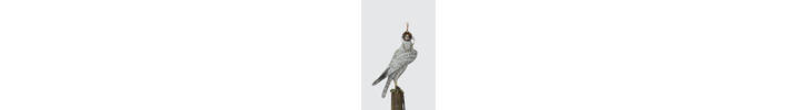 Falcon Images