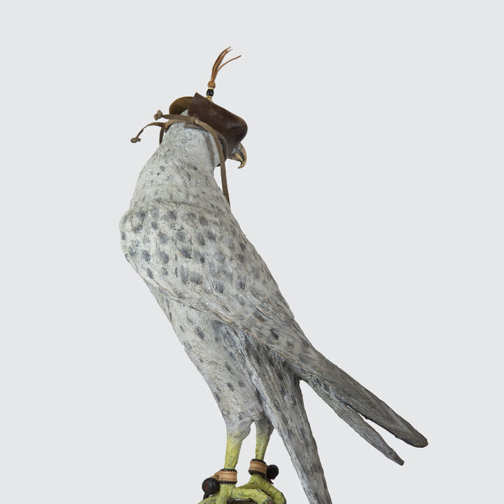 Falcon Images 4