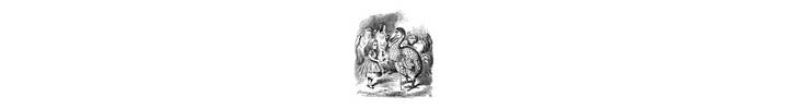 rjw-product-illustration-mr-dodo-esquire.jpg