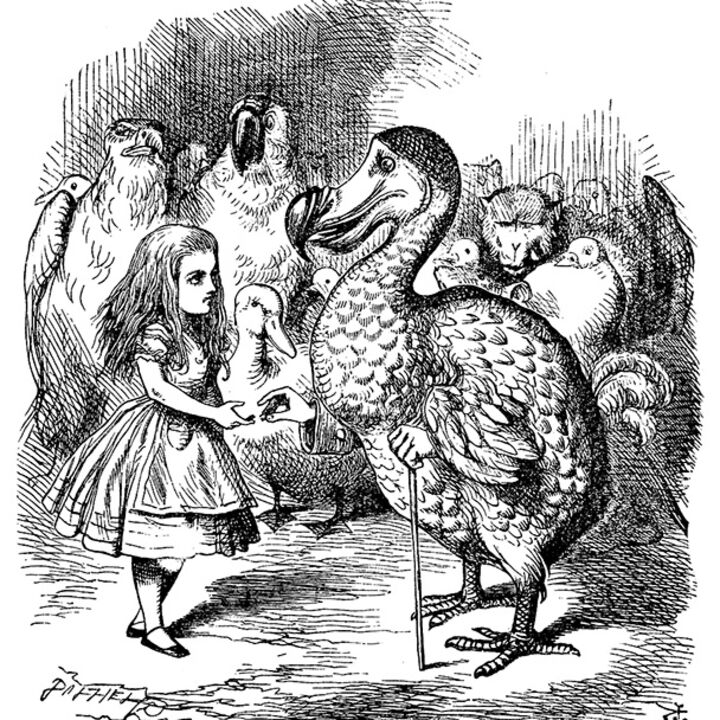 rjw-product-illustration-mr-dodo-esquire.jpg