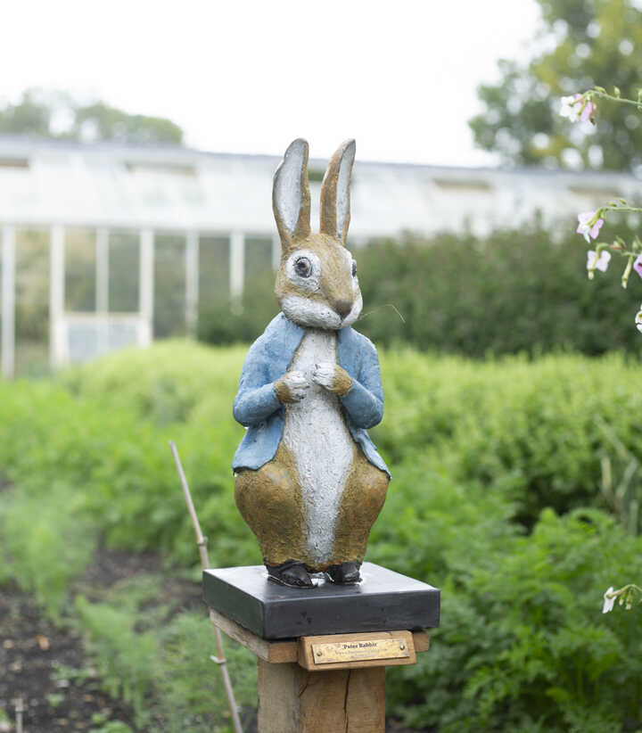 Peter Rabbit at Forde Abbey