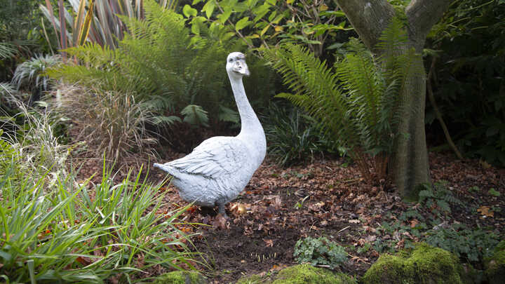 5 More Aesop Fables That Everyone Should Know