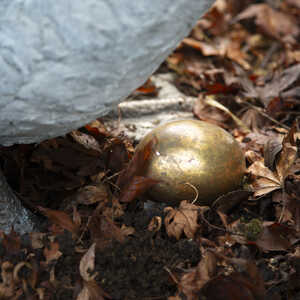 Close up of the golden egg from the Aesop Fable