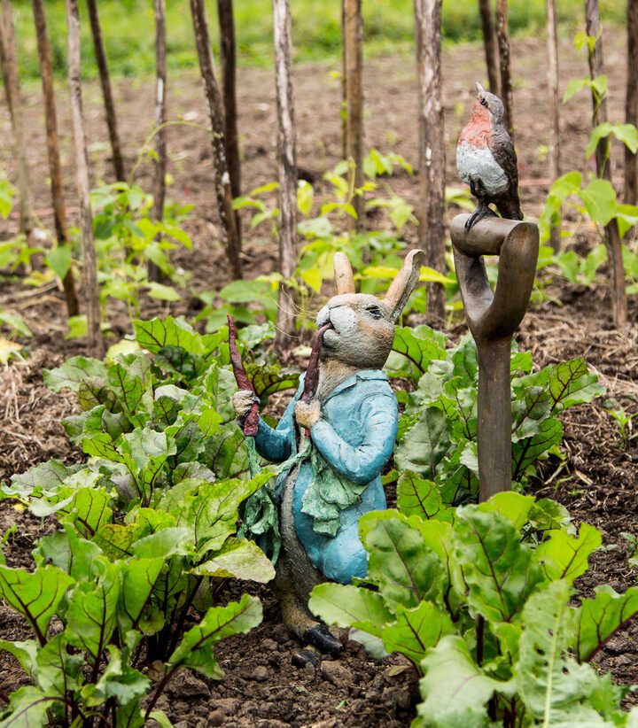 Peter Rabbit Eating Radishes