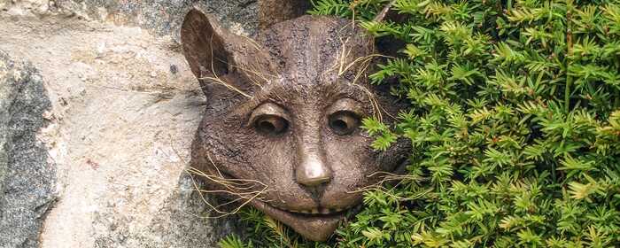 cheshire cat face