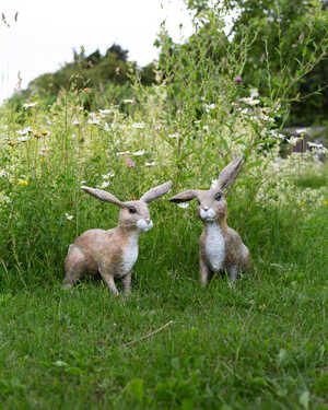 Clover & Hazel bronze sculptures from Watership Down in a grassy field with white and yellow wildflowers.