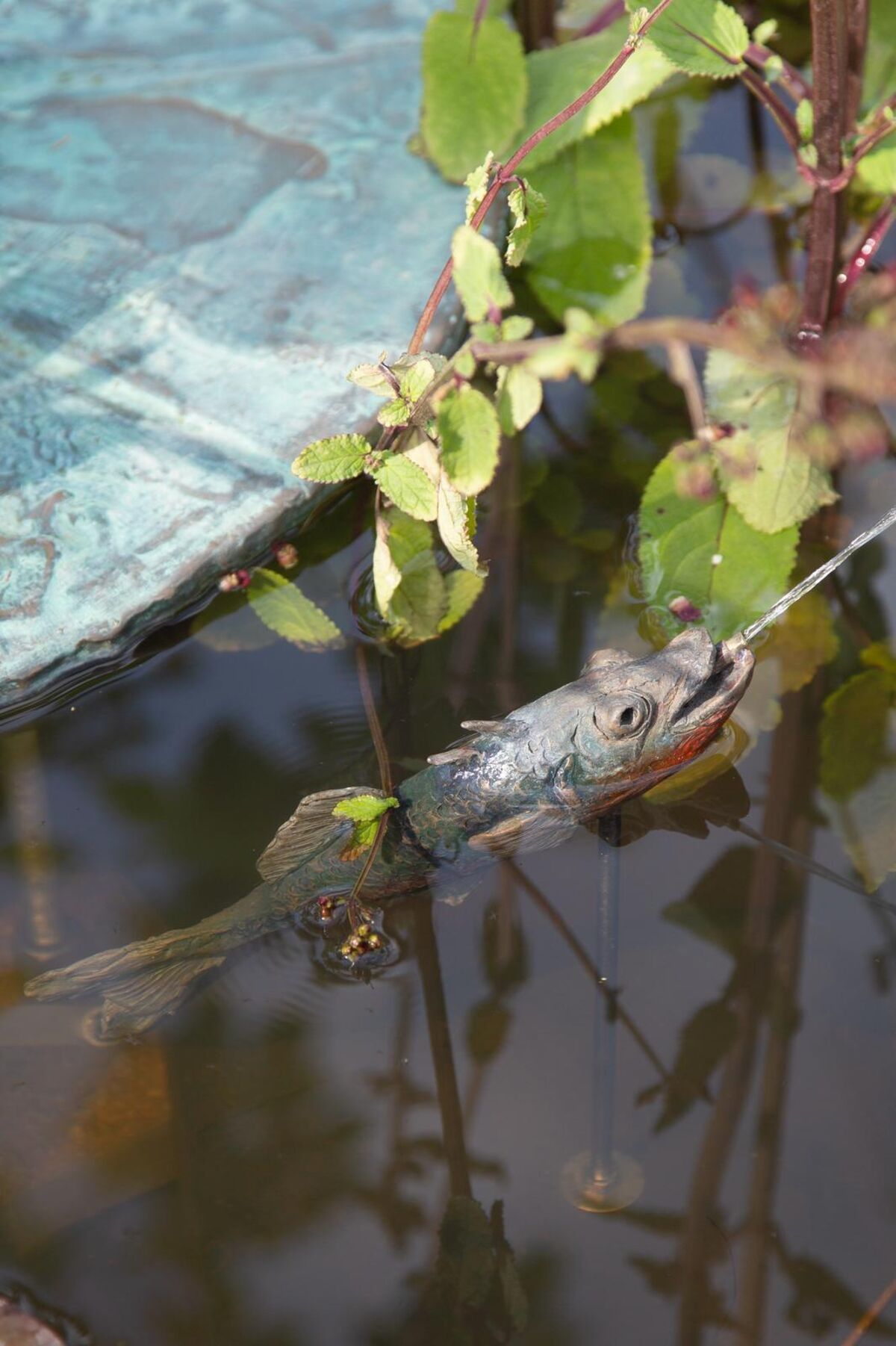 Jack Sharp Stickle Back.jpg