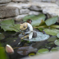 Jeremy Fisher Miniature.jpg