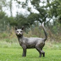 Manet Cat 6x4 crop.JPG