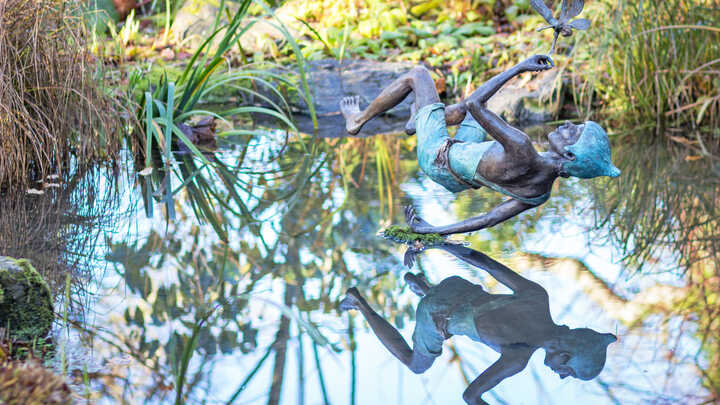 Neverland in Your Garden – The Timeless Appeal of Peter Pan 