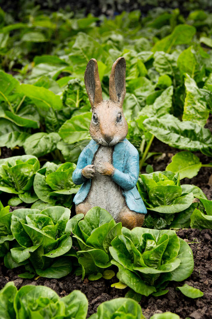 Peter Rabbit Sculpture 