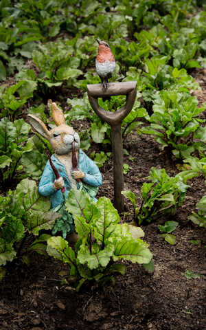 A garden scene features a Peter Rabbit Eating Radishes bronze sculpture with a Robin and Spade among leafy plants.