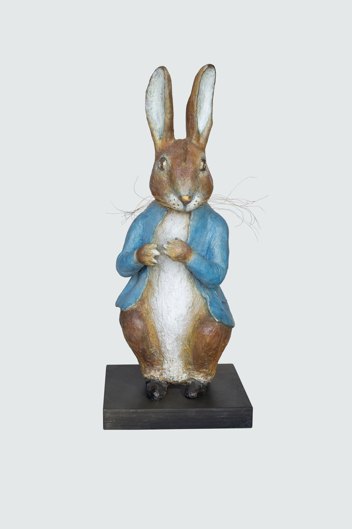 Peter Rabbit studio.jpg