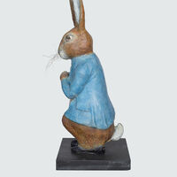 Peter Rabbit studio2.jpg