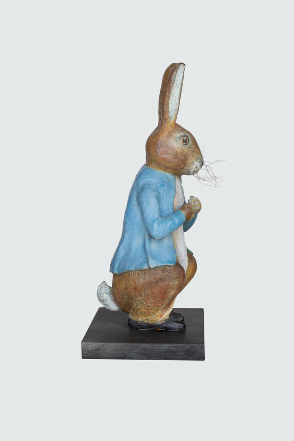 Peter Rabbit studio4.jpg