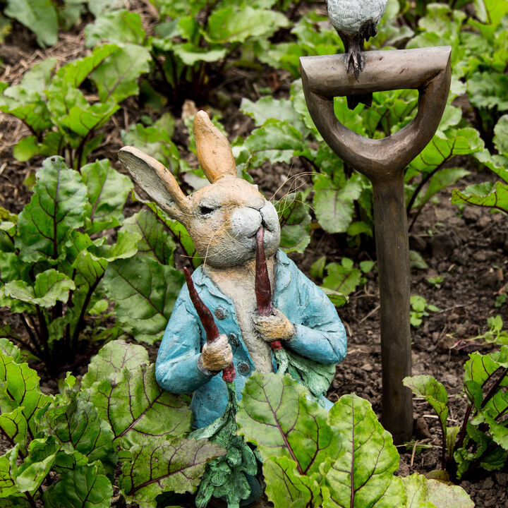 Peter Radishes.jpeg