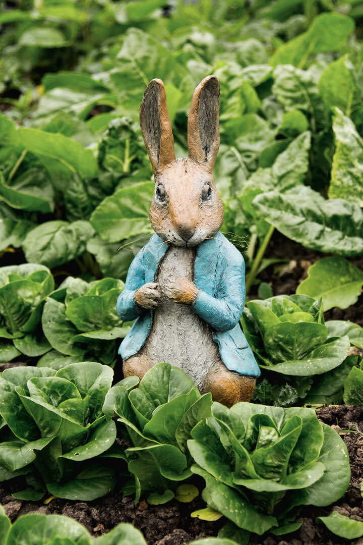 The World of Peter Rabbit - 完全版 The World of Peter Rabbit The Complete (1- 23) Collection