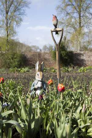 peter rabbit at forde abbey