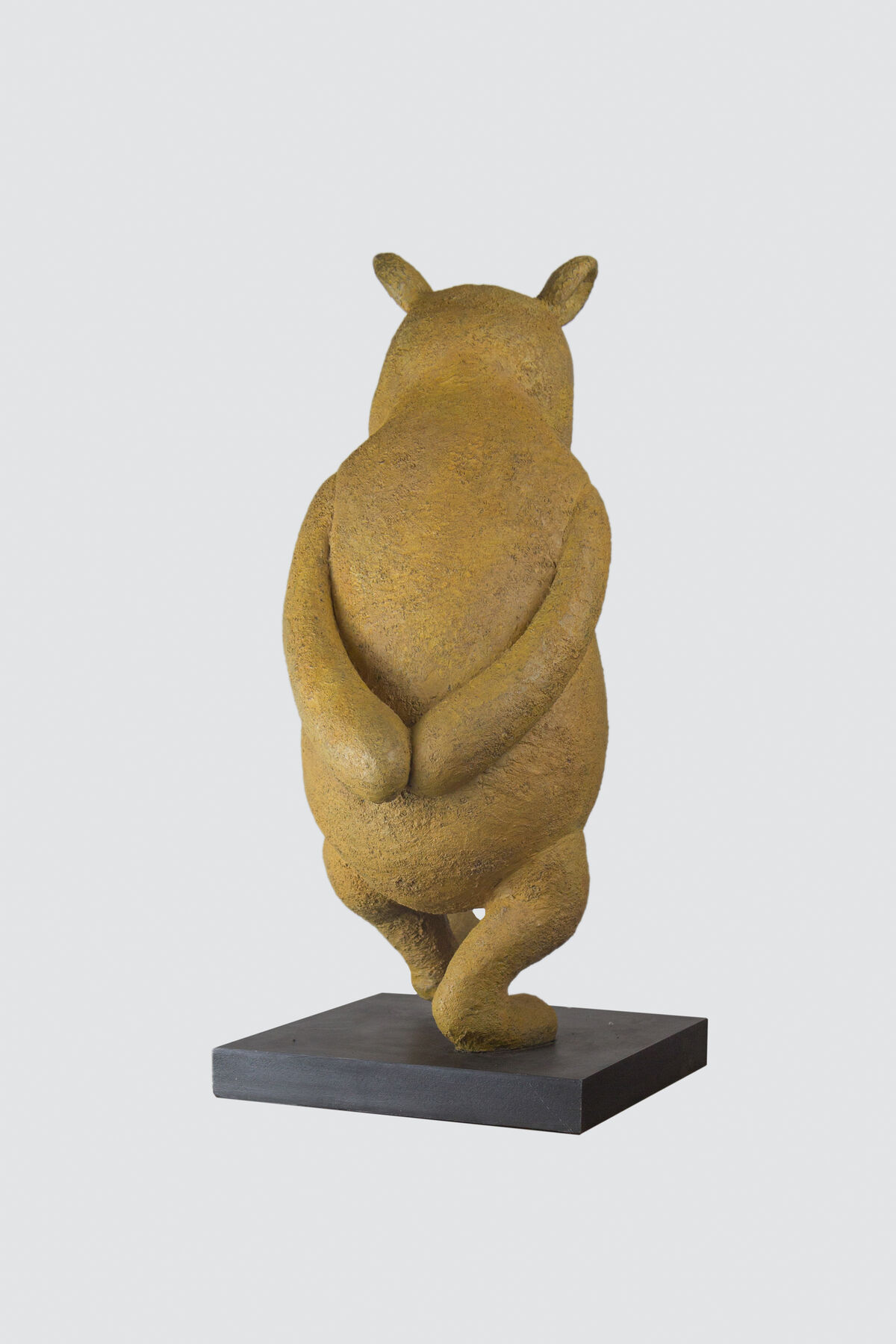Pooh bear studio shots-3.jpg