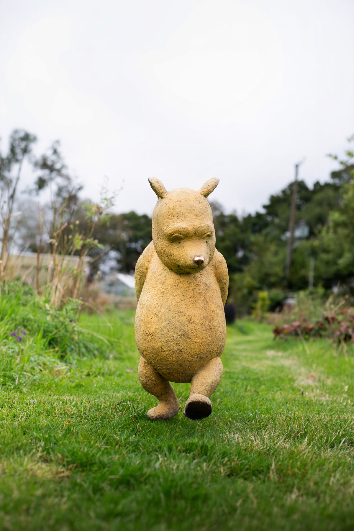 Pooh Bear.jpg