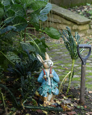 Peter Rabbit Eating Radishes sculpture positioned in a vegetable patch