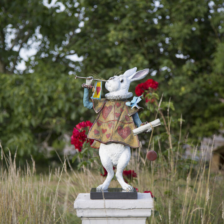 Regal Rabbit Images 7